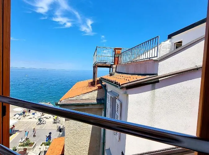 Old Piran Starfish